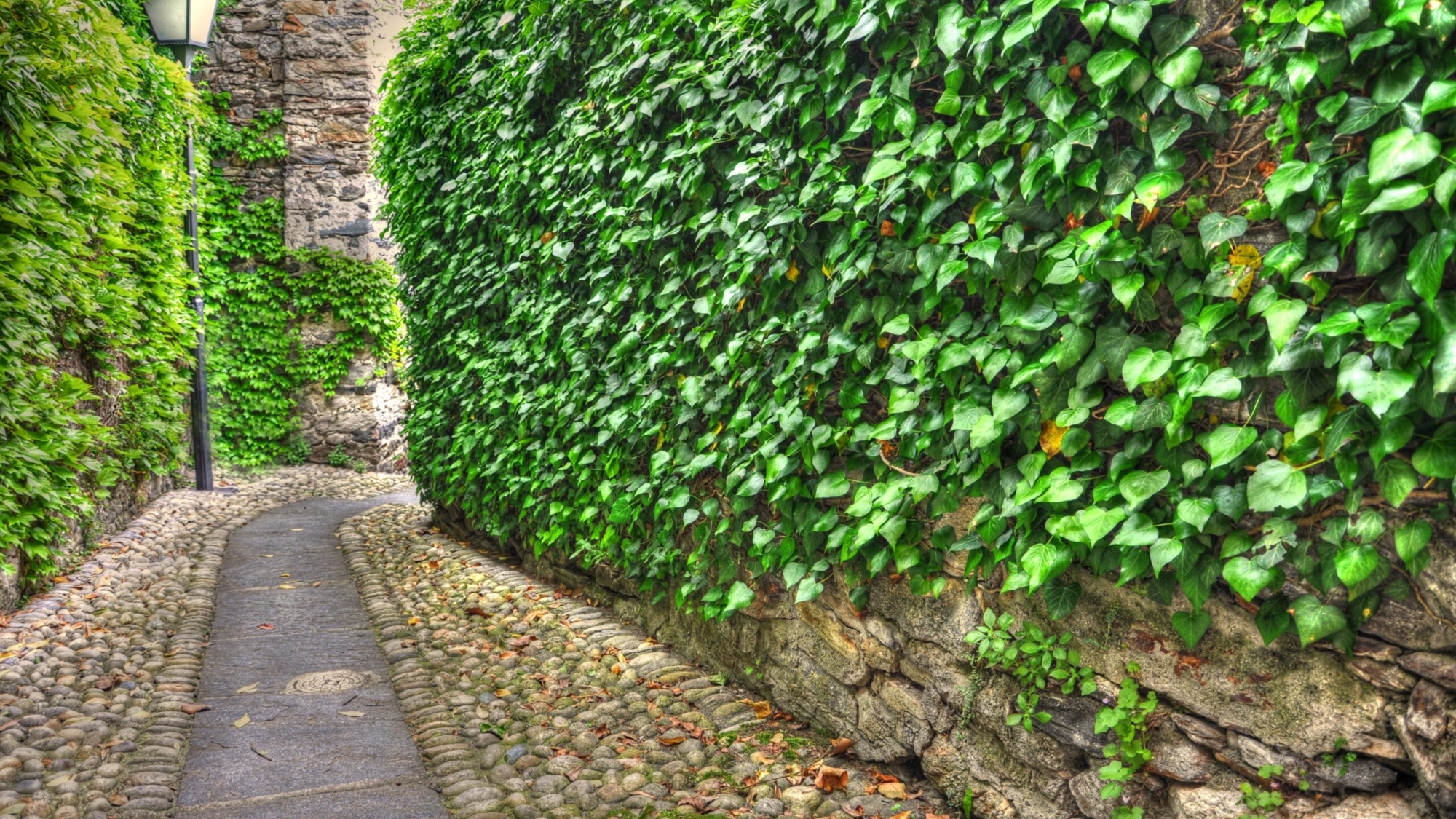A beautiful gravel road surrounded by greenery